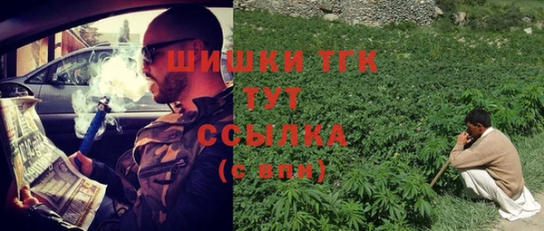 МДПВ Няндома