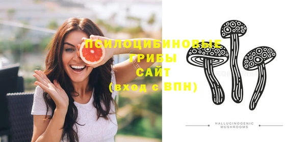 ПСИЛОЦИБИНОВЫЕ ГРИБЫ Абинск