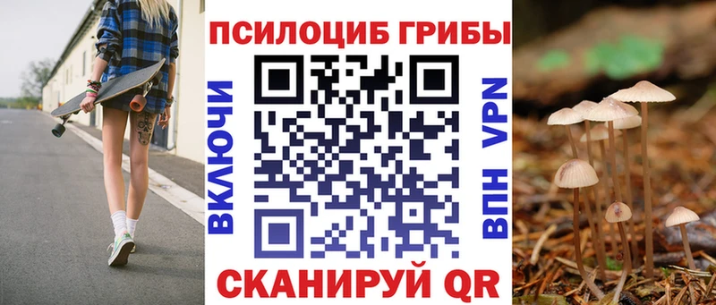 наркота  Инза  Псилоцибиновые грибы ЛСД 