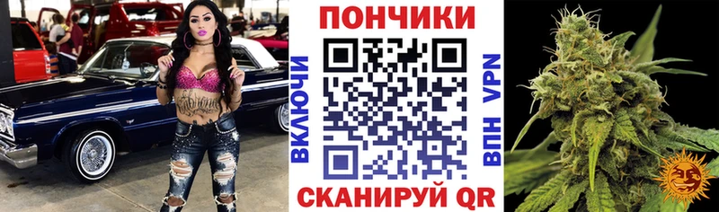 мега сайт  сколько стоит  Инза  Шишки марихуана тримм 